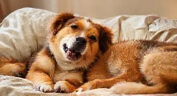 Pomóż mi się zrelaksować