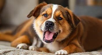 Daj mi trochę miłości